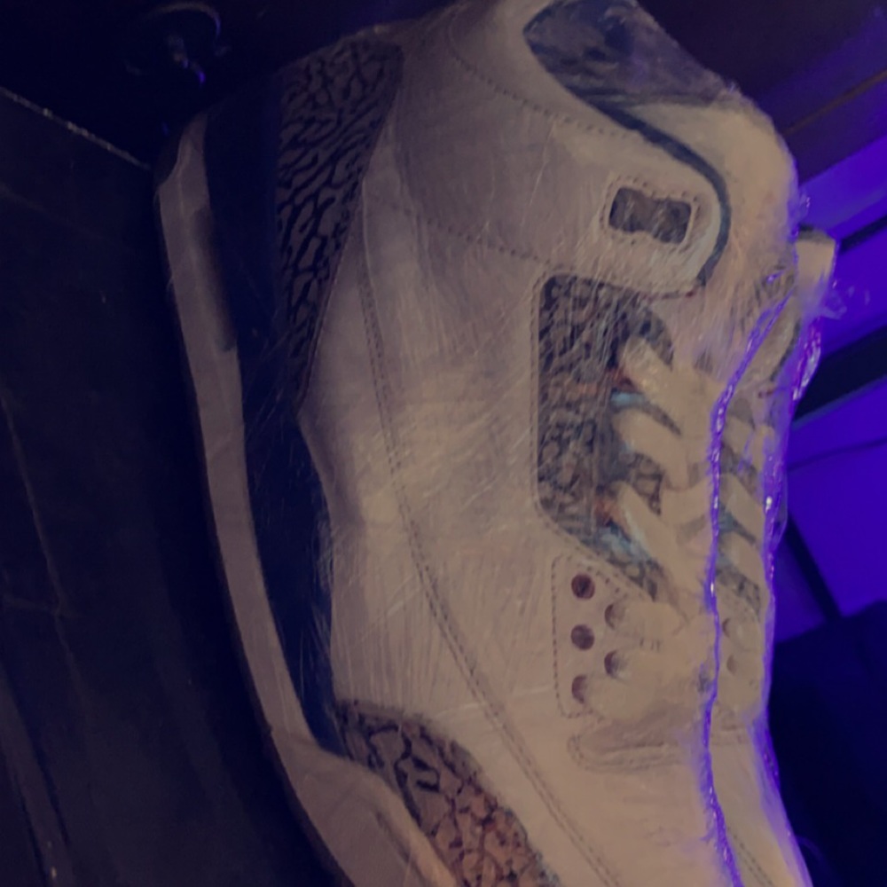 Jordan 3 True Blue 2009